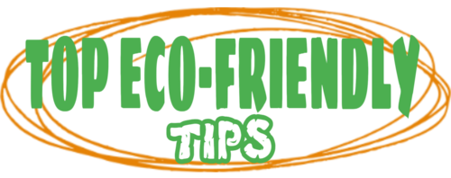 Top Eco-Friendly Tips
